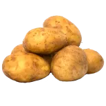 Potato