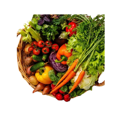 Fresh & Organic